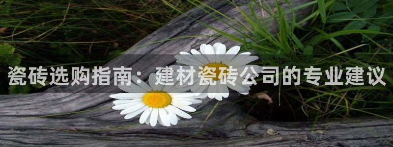 杏鑫平台怎么样黑钱吗安全吗