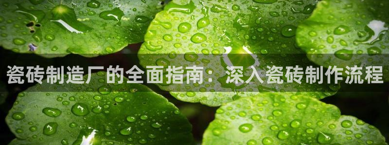 杏鑫平台线路测速