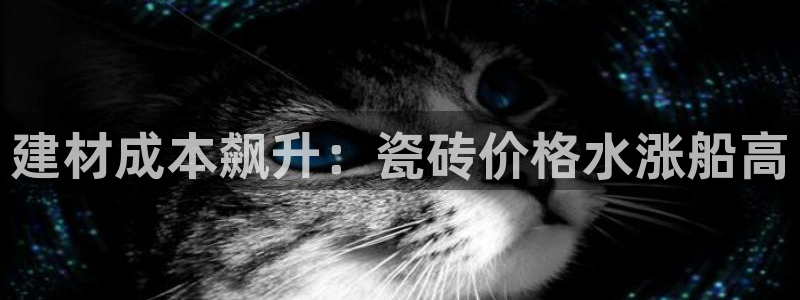 杏鑫主管