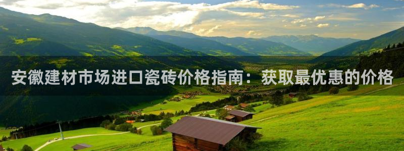 杏鑫平台平台