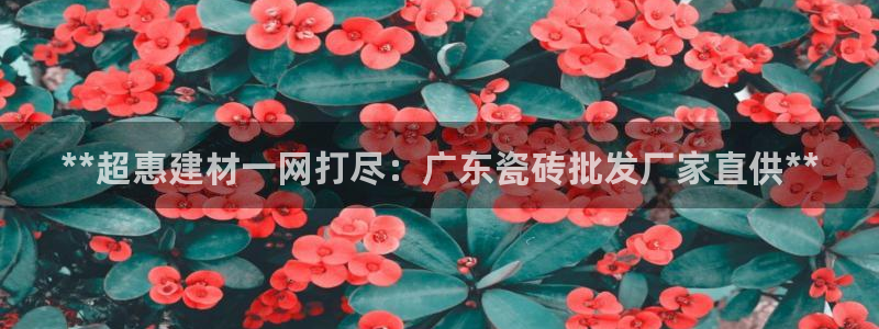 杏鑫平台怎么样