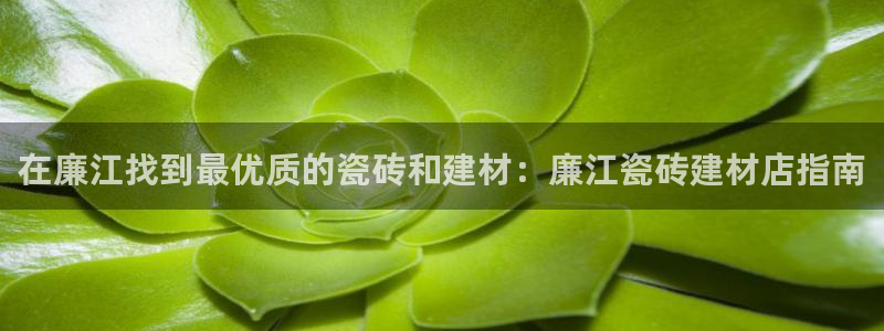 杏鑫平台测速怎么样