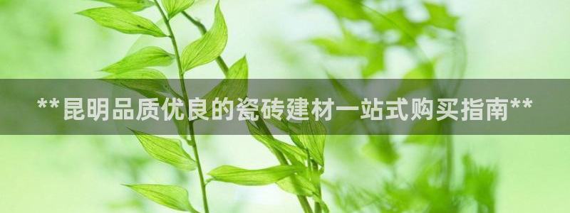 杏鑫平台提供