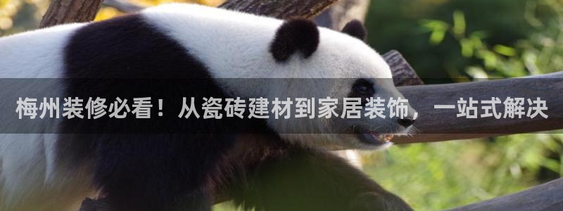 杏鑫娱乐怎么下