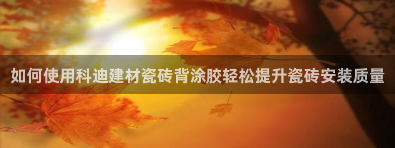 杏鑫平台怎么样