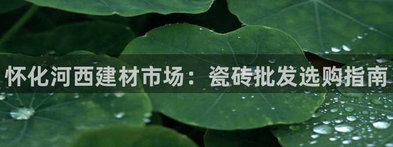 杏鑫娱乐-官方网站