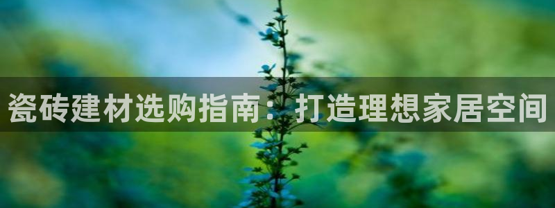 杏鑫平台怎么样黑钱吗安全吗可靠吗