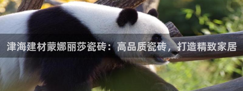 杏鑫平台怎么样黑钱吗是真的吗吗