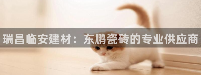 杏鑫平台注册网址查询