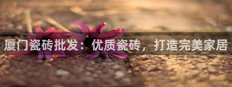 杏鑫平台直属