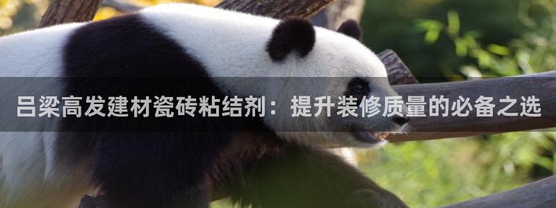 杏鑫平台登录地址在哪