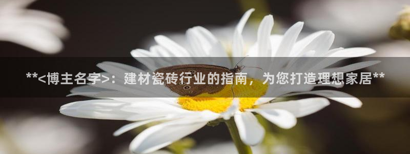 杏鑫平台招商怎么样