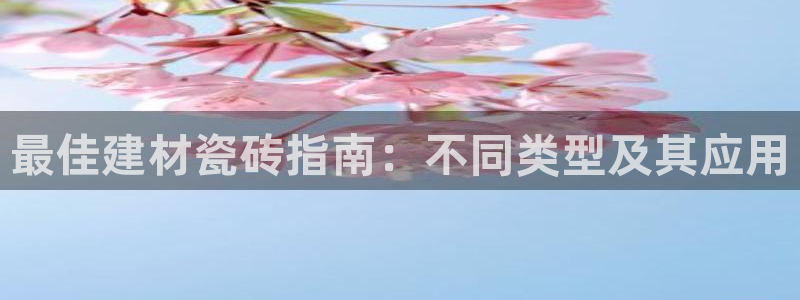 杏鑫手机客户端怎么下载