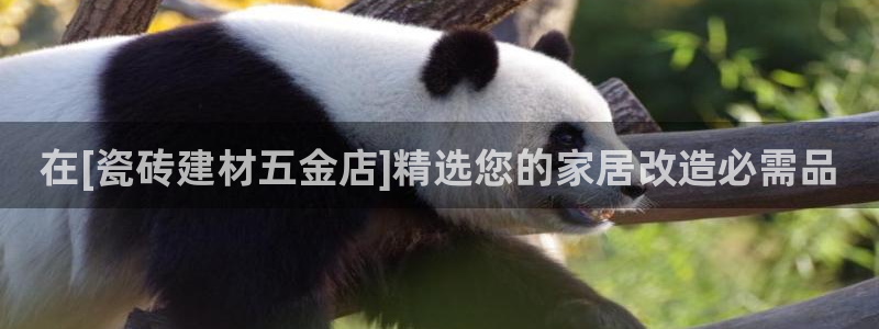 杏鑫娱乐多少年了