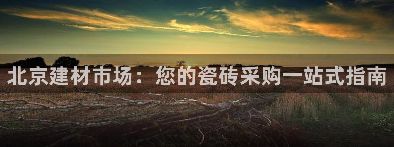 杏鑫平台代理怎么做的