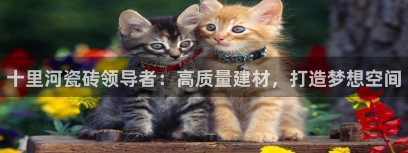 杏鑫官网注册账号密码是什么