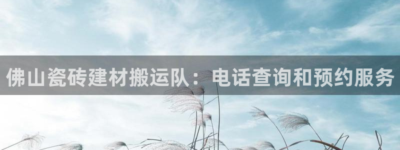 杏鑫平台登录地址是什么