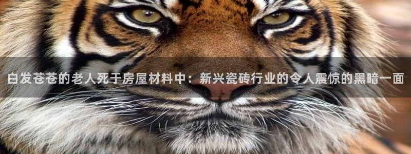 杏鑫官网注册账号
