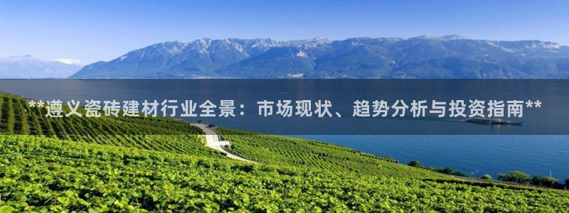杏鑫平台代理怎么样