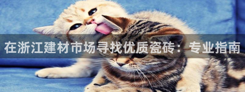 杏鑫平台号7O777