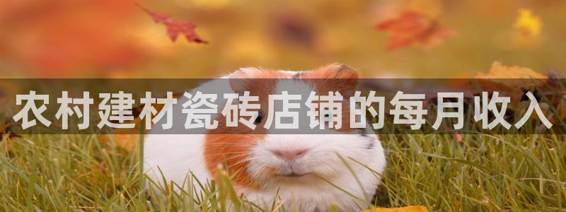 杏鑫平台注册入口在哪里找