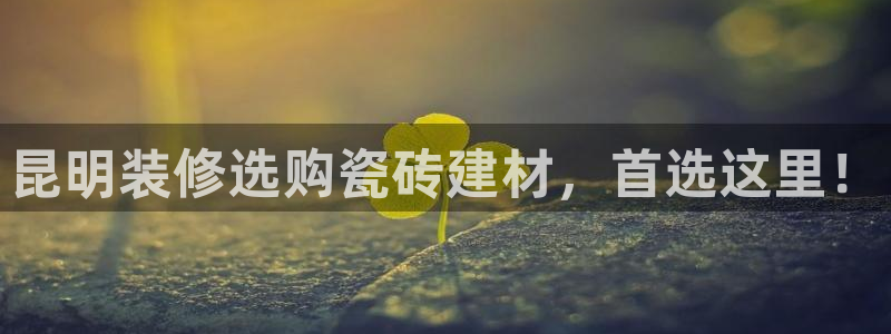 杏鑫娱乐平台测速怎么样