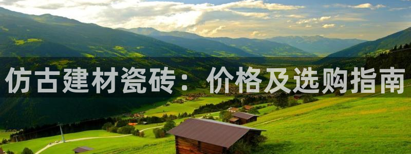 杏鑫平台怎么样知乎