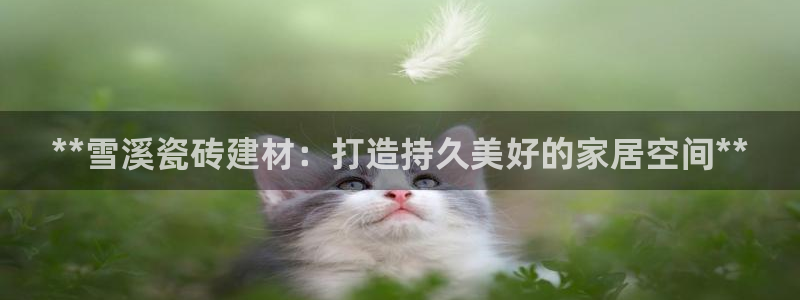 杏鑫平台待遇