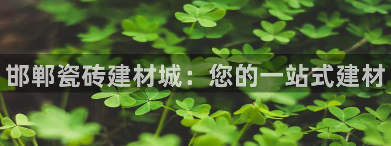 杏鑫平台念7O777