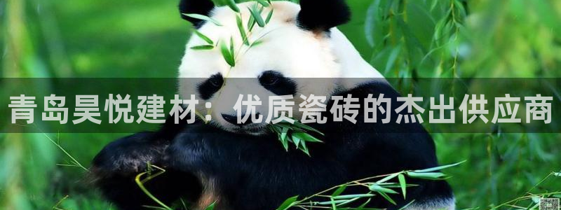 杏鑫娱乐官网下载
