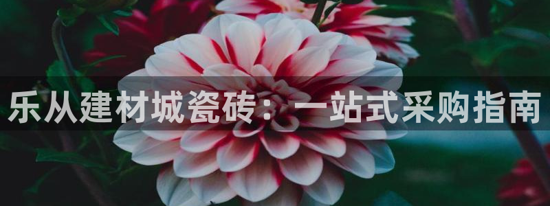 杏鑫平台代理怎么样可靠吗