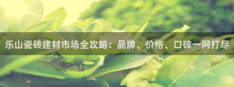杏鑫平台平台