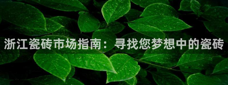 杏鑫平台测速怎么样