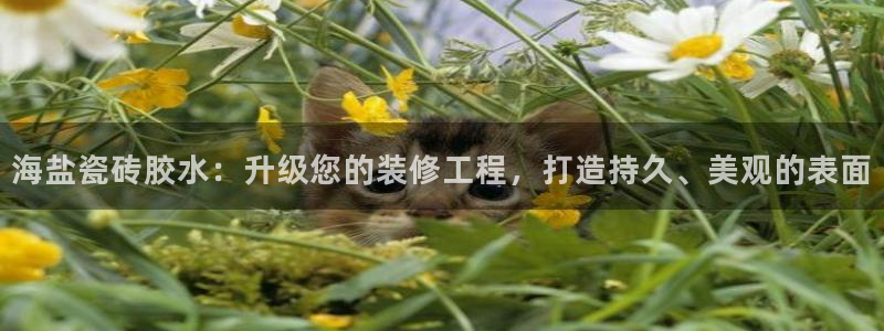 杏鑫平台正规吗是真的吗
