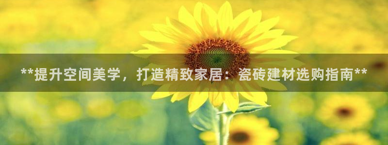 杏鑫手机客户端