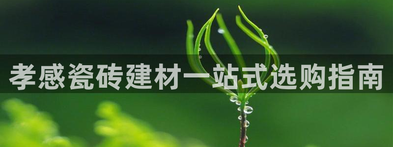 杏鑫娱乐官网