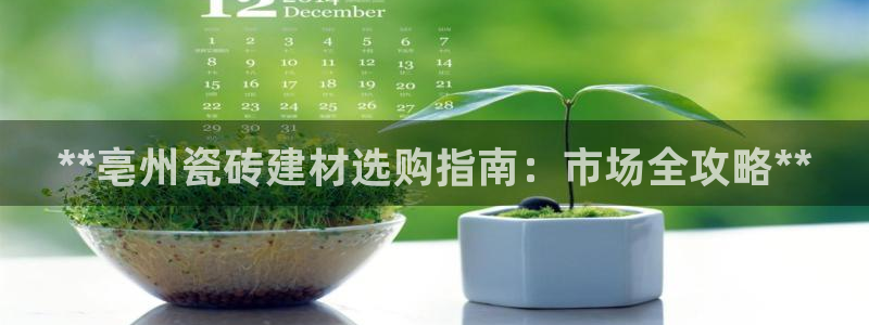 杏鑫平台野马联盟怎么样