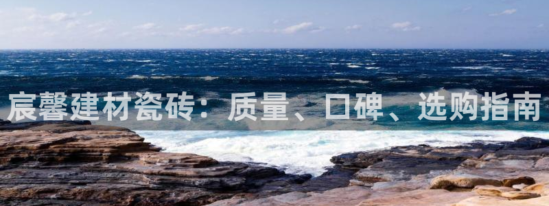 杏鑫娱乐开发团队
