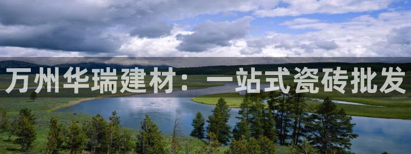杏鑫3主管