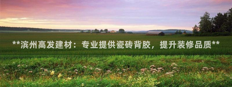 杏鑫平台代理怎么做
