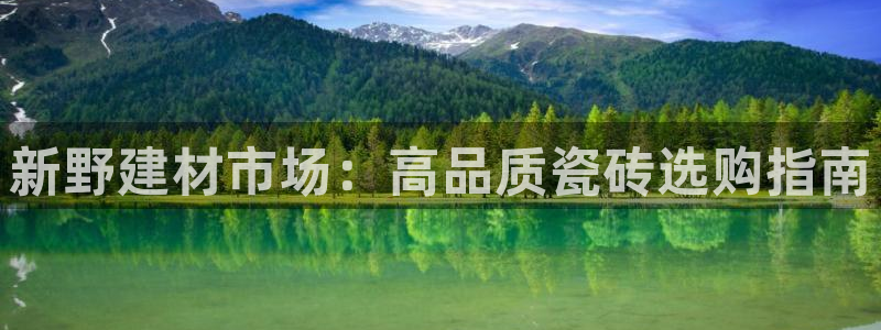 杏鑫平台代理怎么做
