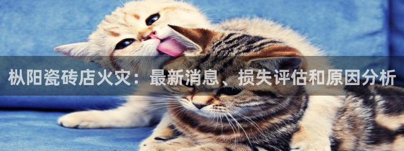 杏鑫平台待遇