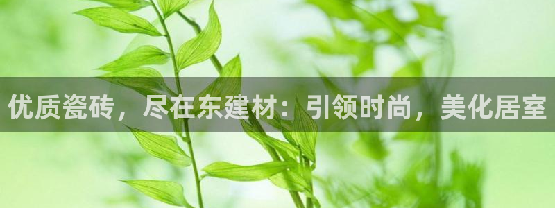 杏鑫平台招商电话是多少