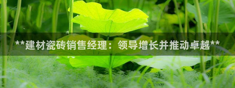 杏鑫平台怎么样知乎