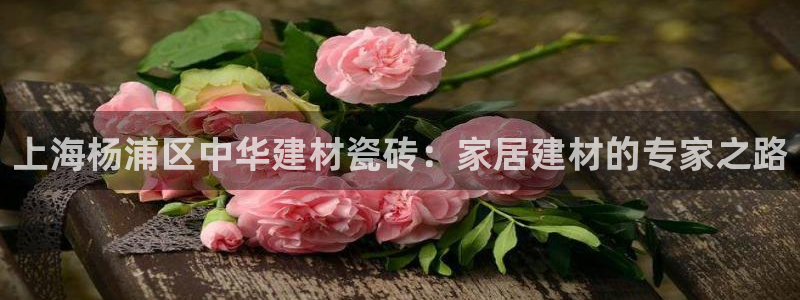 杏鑫平台代理怎么做