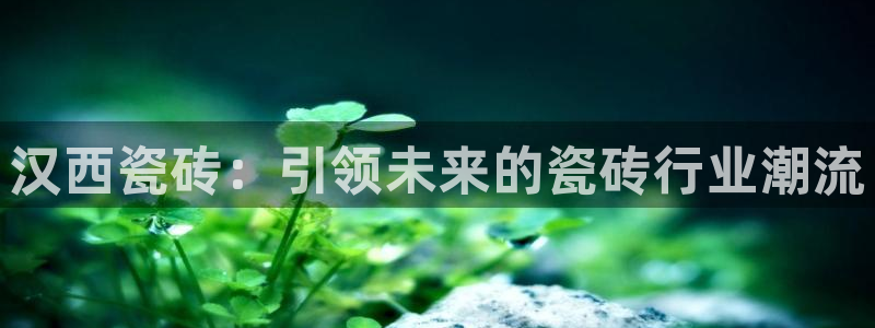 杏鑫平台号7O777
