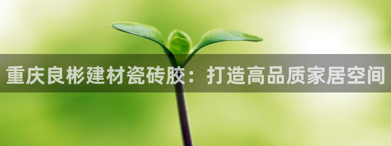 杏鑫平台是黑平台吗是真的吗