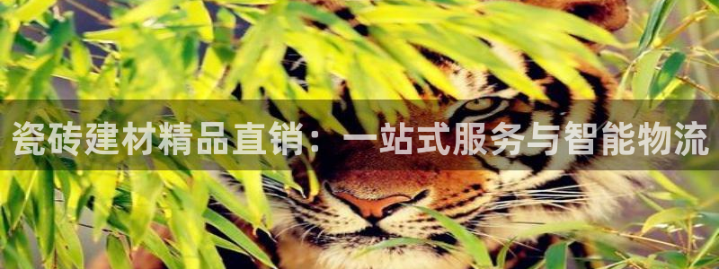 杏鑫平台招商电话号码查询