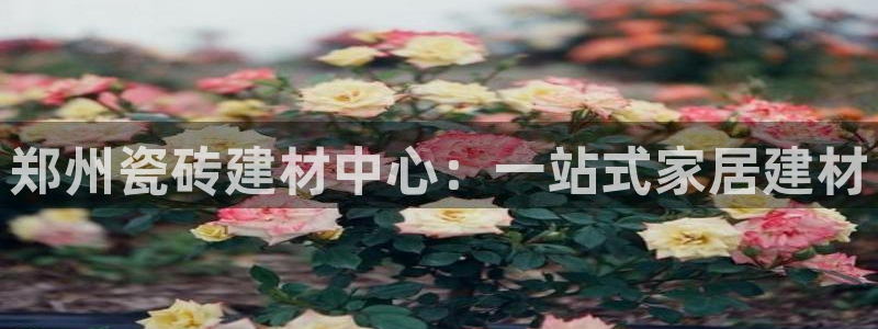 杏鑫平台是黑平台吗