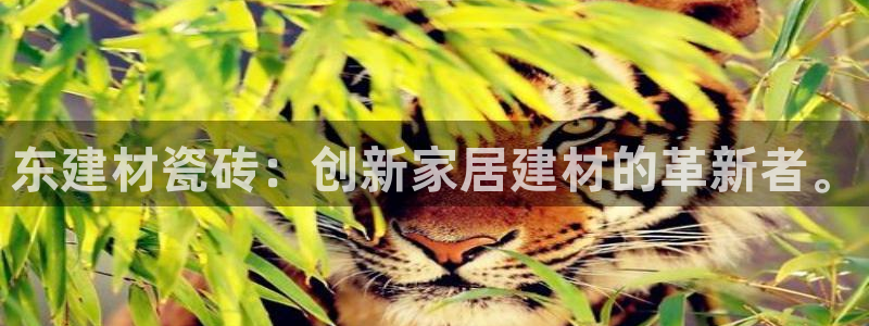杏鑫平台平台娱乐怎么样